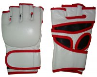 MMA Glove