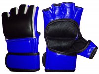 MMA Glove